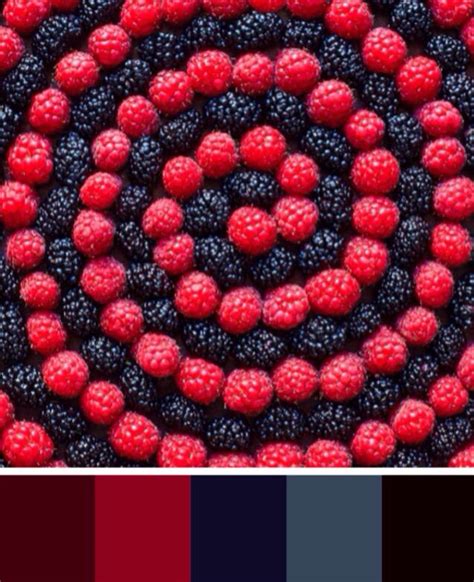 Berries Color Palette Red And Blue Berries Color Palette