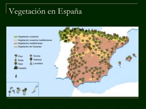 Paisajes Vegetales De España