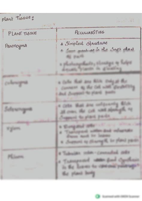 SOLUTION: Types of plant tissue - Studypool