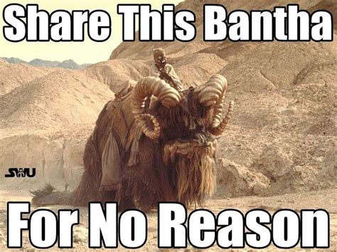 Why Share This Bantha Because Banthas Are Awesome That S Why