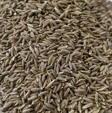 Brown Organic Cumin Seeds Loose At Rs 165 Kg In Vadodara ID 23615390373