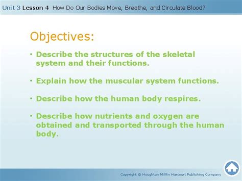 Unit 3 Lesson 4 How Do Our Bodies