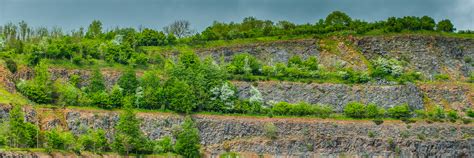 Quarry Life Award Heidelberg Materials Uk