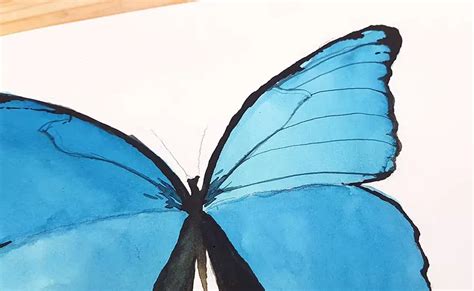 Easy Butterfly Painting