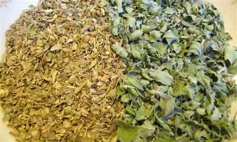 What Does Dried Oregano Look Like