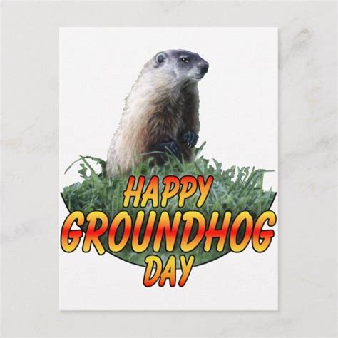 Happy Groundhog Day Card Happy Groundhog Day Groundhog