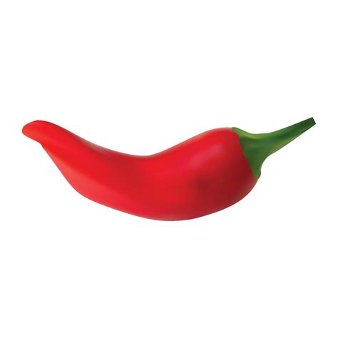 Red Hot Natural Chili Pepper Pod Realistic Vector Illustration Design