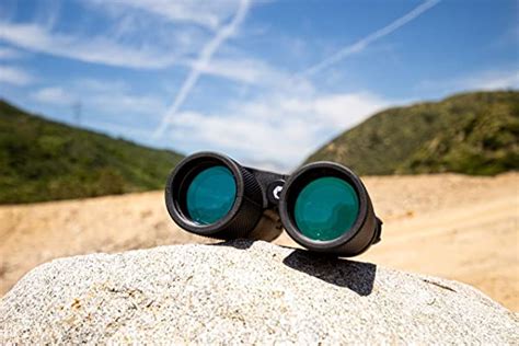 Best Binoculars For Birding Under $100 | Birds Advice