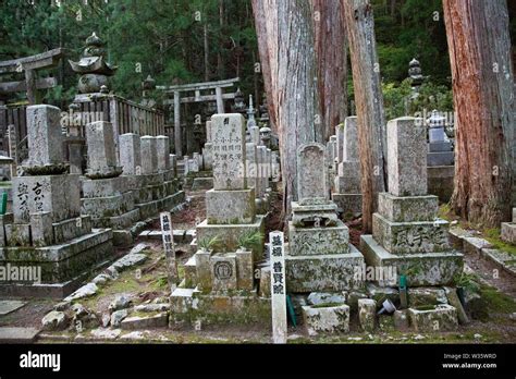 Okuno In Cemetary Koyasan Japan Stock Photo Alamy