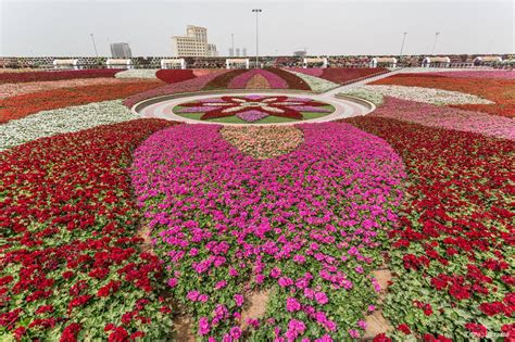 Miracle Garden Dubai