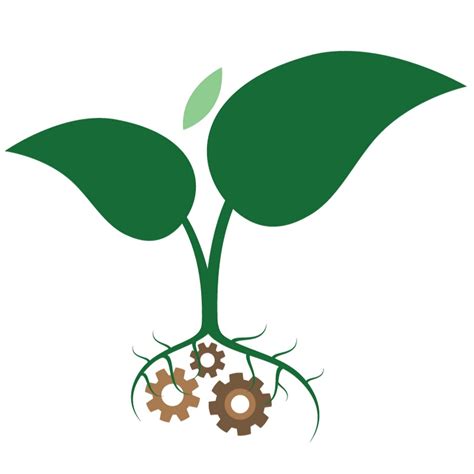 The Grow Operation Youtube