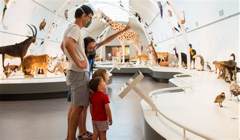 13 musées à faire avec les enfants à Bruxelles PassionSanté be