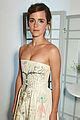 Emma Watson S Dior Dress Tells An Entire Story Photo 3860193 Emma