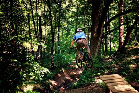 Mountain Bike Trail Jump At Harmonie State Park