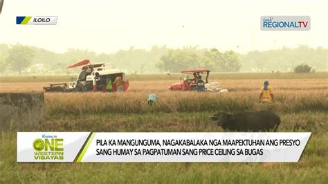 One Western Visayas Pila Ka Mangunguma Nagakabalaka Nga Maapektuhan