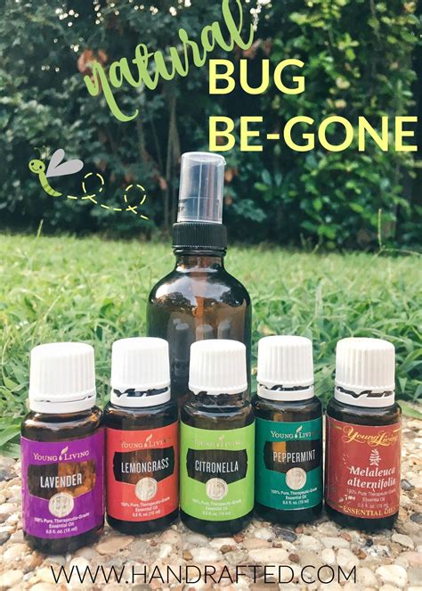 What Is The Best Essential Oil For Mosquito Repellent At Otto Pons Blog