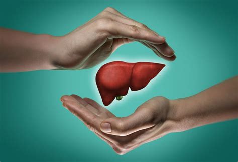 Overview Of Liver Disease Common Symptoms Diagnosis Screening And Treatment Dr Lal Pathlabs Blog