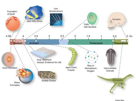 History Of The Earth Infographic By Mr Eatalot Infogram