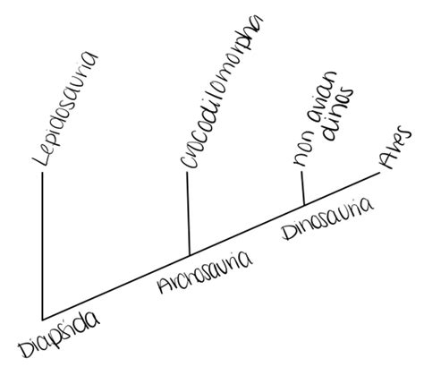 Geol Exam Flashcards Quizlet