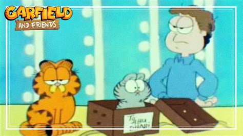 【Garfield envía a Nermal a ABU DABI】~【FANDUB LATINO】 - YouTube