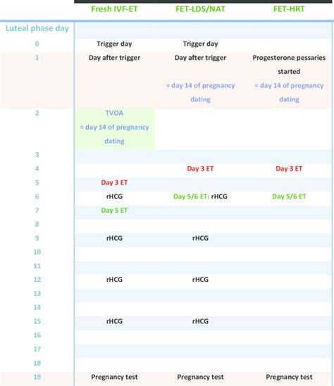 Dating Pregnancy By Hcg Levels Telegraph