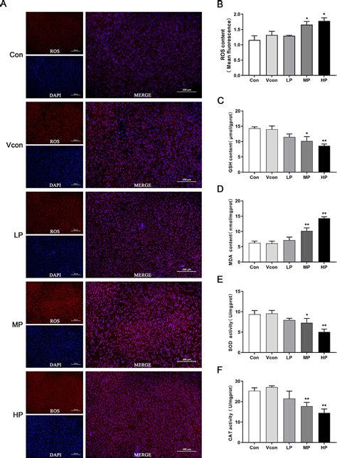 Pfos Exposure Promotes Hepatotoxicity In Quails By Exacerbating