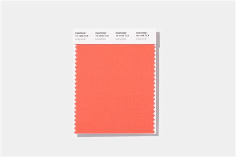 Pantone Color Of The Year 2019 Living Coral