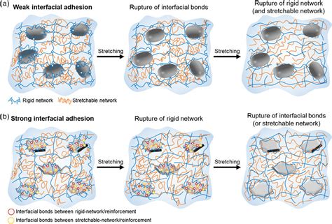 Reinforcing And Fracture Mechanisms Of Composite Hydrogels A In The