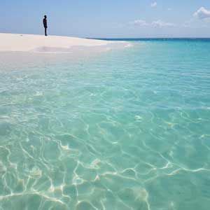 Snorkeling In Zanzibar From TourXplorer: Call Us Now