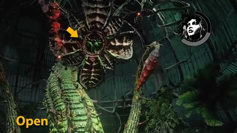 Batman Arkham Asylum Poison Ivy Boss Fight Guide