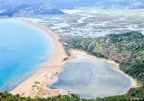 İztuzu Plajı Dalyan | Nerede? Denizi, Kumu Nasıl? Tüm Detaylar