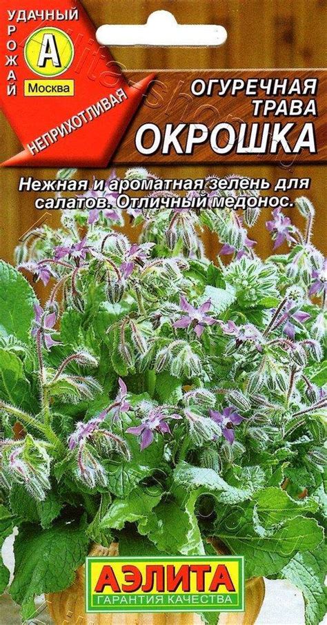 Огуречная трава ОКРОШКА, Аэлита | отзывы