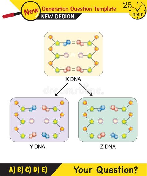 Biology Dna Helix Dna Replication Stock Vector Illustration Of Cell Dumb 255604842