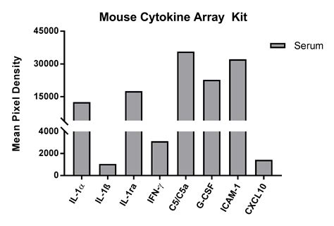 Proteome Profiler Mouse Cytokine Array Kit Panel A Ary006 Randd Systems