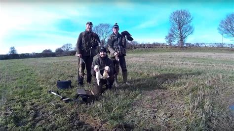 A Male And Female Harris Hawk Hunting Rabbits Youtube