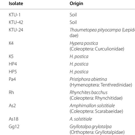 Entomopathogenic Fungi Tested On Leptoglossus Occidentalis And Their