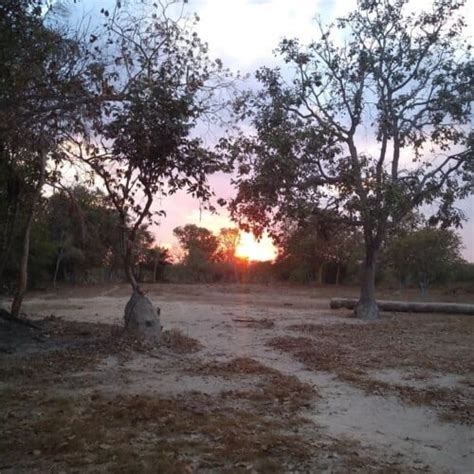 Ilha Do Bananal Guia Para Conhecer Esse Para So Natural Do Tocantins