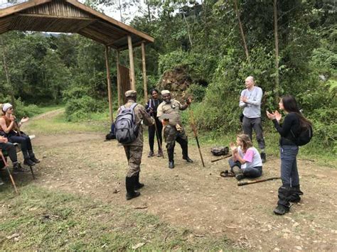 Von Kampala Aus Gorilla Trekking Im Bwindi Forest Tages Tour