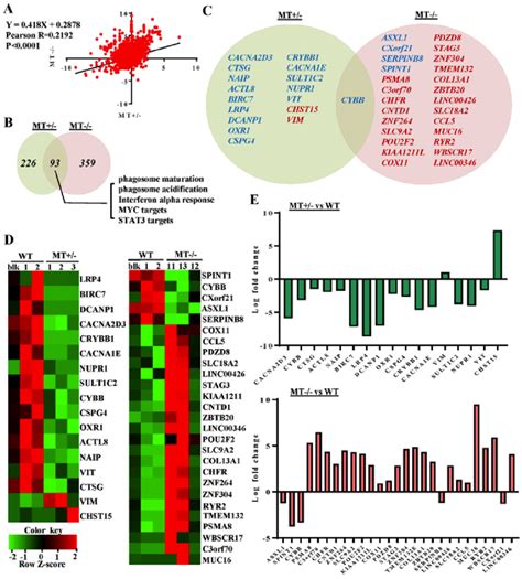 Gene Expression Analysis Of Wt And Asxl Mutated U Cells By Rna Seq