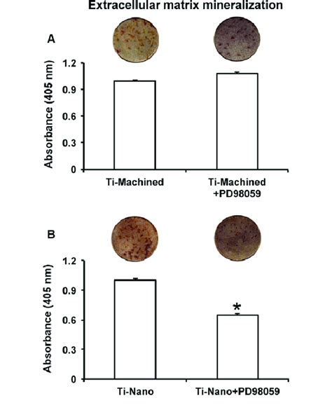 Effect Of Inhibition Of Extracellular Signal Regulated Kinases 12