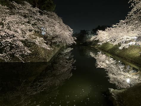 青弘棲人 On Twitter Rt Nakachipa 弘前公園の夜桜を見たのは2019年以来なので4年ぶりかな？ あれだけ強風が