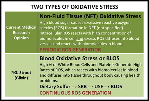 What Is Oxidative Stress It S From The Blood Glixin