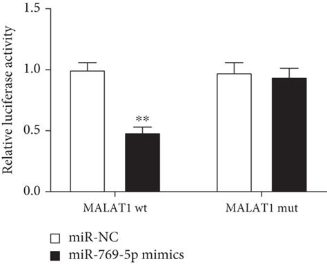 Mir P Was A Target Of Malat A The Target Sites Between Malat