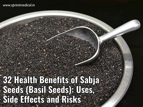 What Are Sabja Seeds And Why They Have Suddenly Become 58 Off