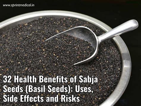 What Are Sabja Seeds And Why They Have Suddenly Become, 58% OFF