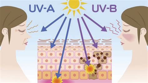 Gli Effetti Nocivi Dei Raggi UV