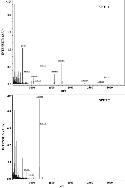 Maldi Tof Mass Spectrum Of The Tryptic Digests Of Thylakoid Proteins