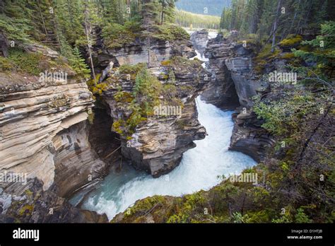 athabasca falls  res stock photography  images alamy