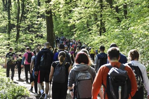 46 FRUŠKOGORSKI MARATON FRUŠKA GORA