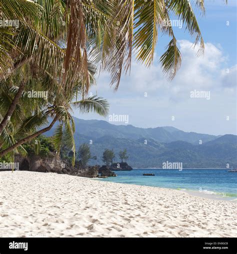 Tropical Beach With Beautiful Palms And White Sand Philippines